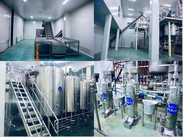 86813833-0ce9-9351-d7e1-c68538aeb612.jpg 22.jpg